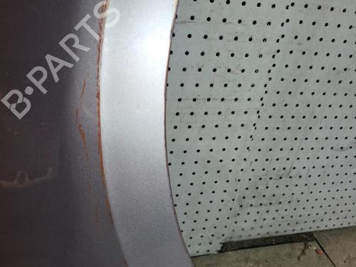 Right front fenders RENAULT MEGANE III Hatchback (BZ0/1_, B3_) 1.6 16V (BZ1B, BZ1H) | BP21713382C42 