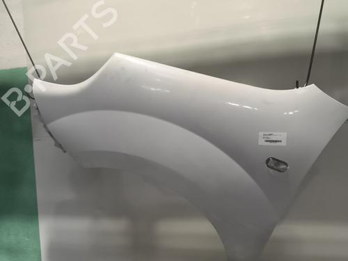 Błotnik przedni lewy RENAULT KANGOO Express (FW0/1_) 1.5 dCi 95 (FW16) | BP29893789C41