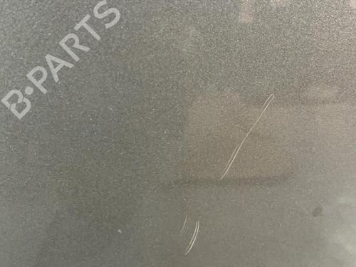 Hood RENAULT CLIO III (BR0/1, CR0/1) 1.5 dCi (BR17, CR17) | BP21715322C1 