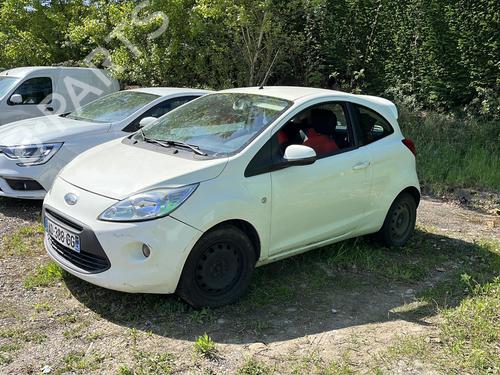 - Image 7