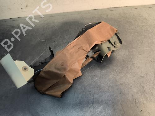 hingedoor-check-strap-citroen-c3-iii-sx-2016-29733957 main image