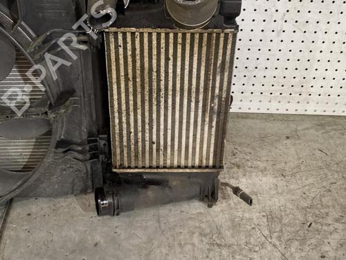 Used Intercooler Intercooler RENAULT MEGANE IV Hatchback (B9A/M/N_) 1.2 TCe 130 (B9MR) (130 hp) 21694961 21694961