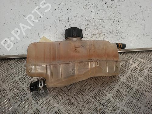 Used Expansion tank RENAULT CLIO III (BR0/1, CR0/1) 1.5 dCi (88 hp) 21718753