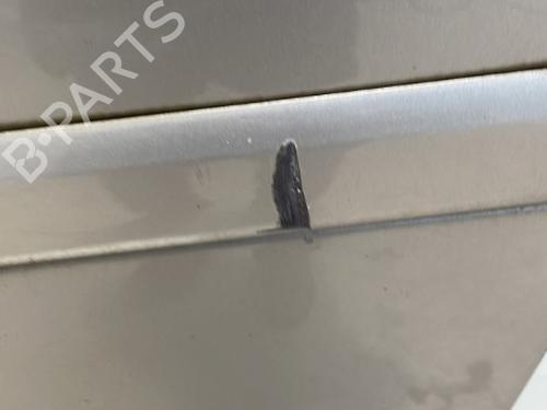 Left front door AUDI A3 (8P1) 1.9 TDI | BP21717731C2 