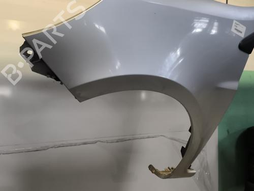 Left front fenders RENAULT CLIO III (BR0/1, CR0/1) 1.5 dCi (BR17, CR17) | BP24477019C41 