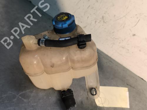 Expansion tank FIAT PANDA (312_, 319_) 1.3 D Multijet 4x4 (312PXL1A) | BP29997404C120