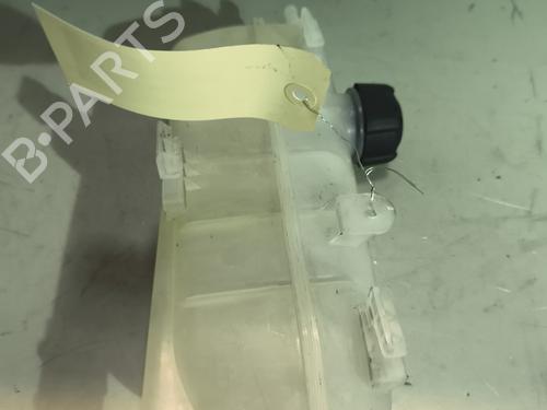 expansion-tank-renault-zoe-bfm_-2012-26177476 main image