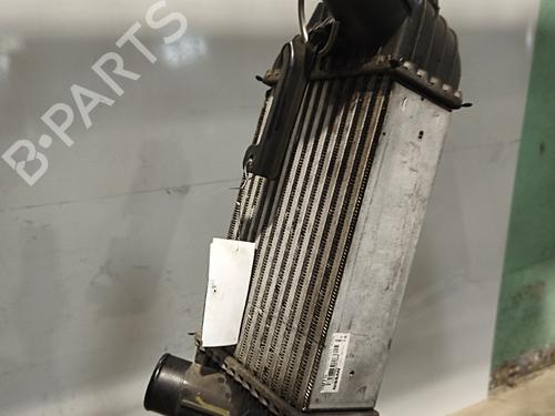 Intercooler Intercooler NISSAN JUKE (F15) 1.6 DIG-T NISMO 4x4 (200 hp) 36553618 36553618