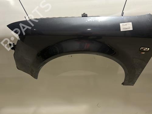 Left front fenders AUDI A4 B6 (8E2) 1.9 TDI | BP22035046C41 