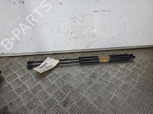 Gassdemper Bakluke PEUGEOT 206 Hatchback (2A/C) 1.9 D (69 hp) 29384463