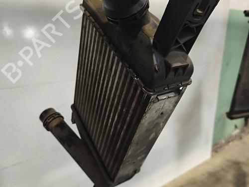 Intercooler DACIA SANDERO II 1.5 dCi | BP36944921M30 - Image 3