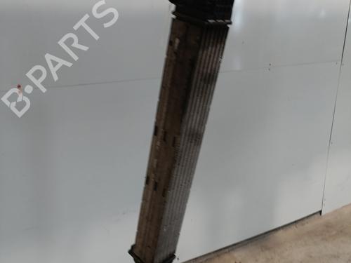 Intercooler RENAULT MEGANE III Hatchback (BZ0/1_, B3_) 1.5 dCi (BZ09, BZ0D, BZ1W, BZ29, BZ14) | BP28078463M30 
