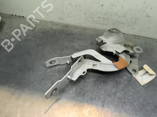 hingedoor-check-strap-renault-zoe-bfm_-2012-31816185 main image