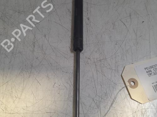 Tailgate lift support PEUGEOT 406 Coupe (8C) 2.0 16V | BP21720818C138 