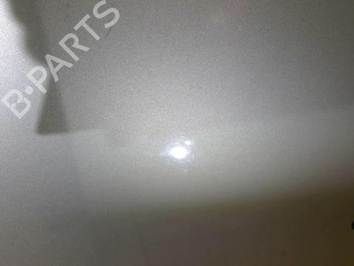 Used Hood RENAULT CLIO III (BR0/1, CR0/1) 1.5 dCi (C/BR0G, C/BR1G) (68 hp) 21708699