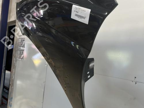 Left front fenders PEUGEOT 207 (WA_, WC_) 1.6 16V | BP29538186C41 