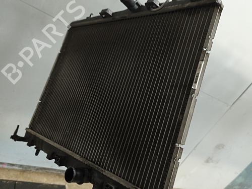 water-radiator-ds-ds-3-sa_-2015-2016-2017-2018-2019-34120547 main image