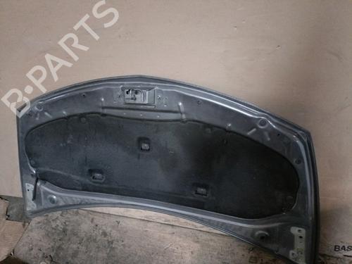 Used Hood RENAULT CLIO III (BR0/1, CR0/1) 1.5 dCi (BR17, CR17) (86 hp) 21715322