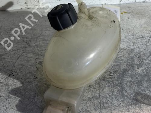expansion-tank-renault-master-iii-van-fv-23-dci-145-fwd-fv0e-fv0f-fv0h-fv02-fv0m-fv0s-217100015r-2010-22905771 main image
