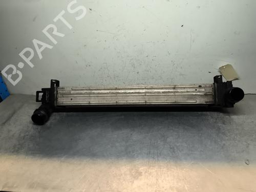 Used Intercooler Intercooler RENAULT SCÉNIC III (JZ0/1_) 1.5 dCi (110 hp) 31816260 31816260