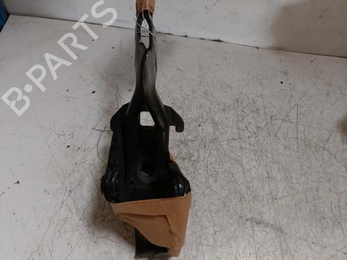 Hinge/Door check strap LANCIA MUSA (350_) 1.4 (350.AXA11, 350.AXA1A) | BP25985650C146 
