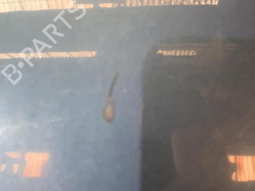 Hood CITROËN C4 Grand Picasso I (UA_) 1.6 HDi 110 | BP21716113C1