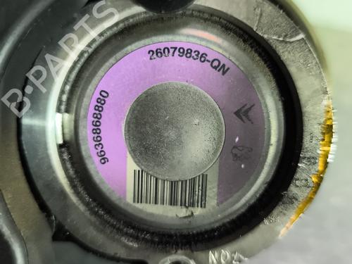 Styring servopumpe PEUGEOT 206 Hatchback (2A/C) 1.6 16V (109 hp) 29081868