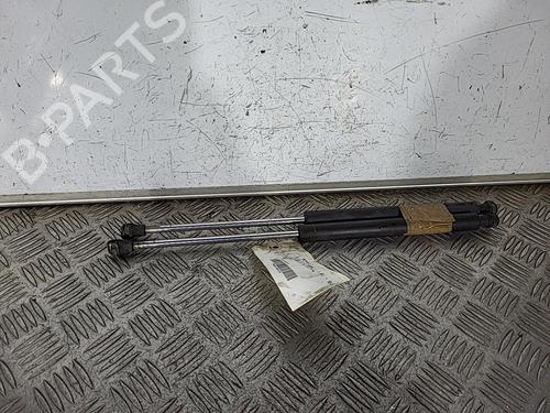 Gassdemper Bakluke RENAULT CLIO II (BB_, CB_) 1.6 (B/CB0D, BB00) (90 hp) 29384461