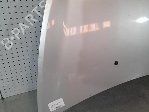 Hood RENAULT CLIO III (BR0/1, CR0/1) 1.5 dCi (BR17, CR17) | BP21698843C1 