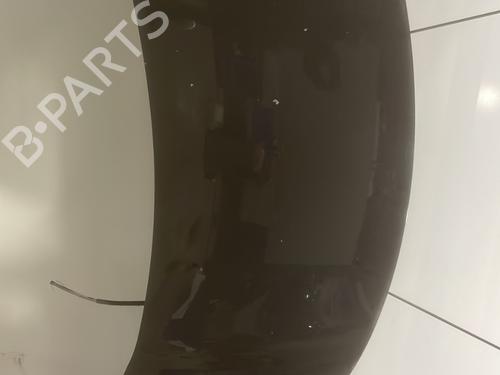 Capot CITROËN C3 II (SC_) 1.4 (73 hp) 27328661