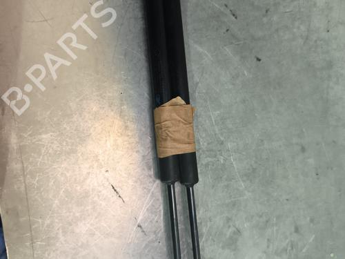 Tailgate lift support RENAULT KADJAR (HA_, HL_) 1.5 BLUE dCi 115 (HLA6) | BP29732939C138