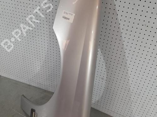 Left front fenders PEUGEOT 406 (8B) 2.0 HDI 110 | BP21696080C41 
