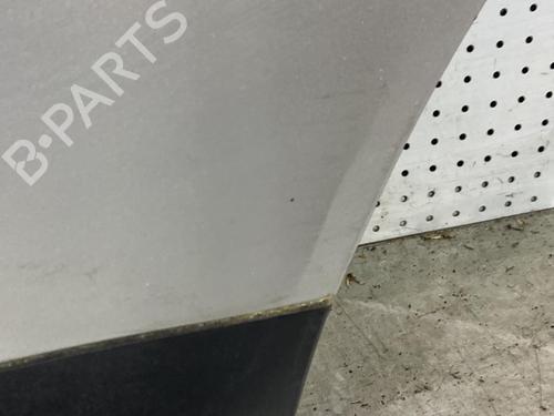 Left rear door NISSAN QASHQAI / QASHQAI +2 I (J10, NJ10, JJ10E) 2.0 dCi | BP21710770C4 