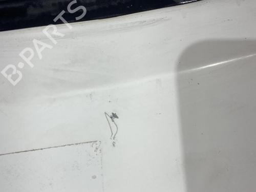 Left front door FIAT DOBLO Box Body/MPV (223_) 1.3 D Multijet | BP21701539C2 
