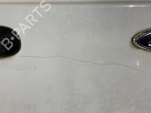 Used Right tailgate Right tailgate FORD TRANSIT CONNECT (P65_, P70_, P80_) 1.8 TDCi (90 hp) 21723397 21723397