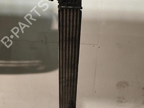 Used Intercooler Intercooler RENAULT GRAND SCÉNIC III (JZ0/1_) 1.5 dCi (JZ09, JZ0D, JZ10, JZ14, JZ1G, JZ29, JZ2C) (110 hp) 40435140 40435140