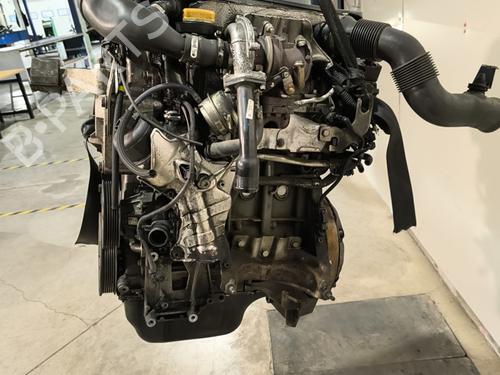 Used Engine FIAT PANDA (312_, 319_) 1.3 D Multijet 4x4 (312PXL1A) (75 hp) 30491489