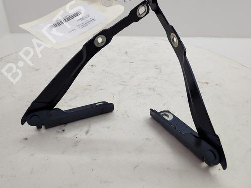 hingedoor-check-strap-dacia-sandero-ii-2012-34283120 main image
