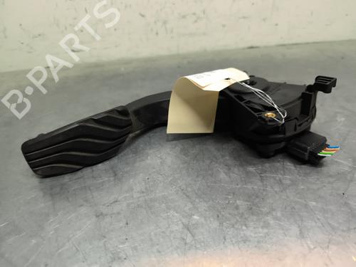 Pedal DACIA DUSTER (HM_) 1.0 LPG (HMMT) | BP31816119I4