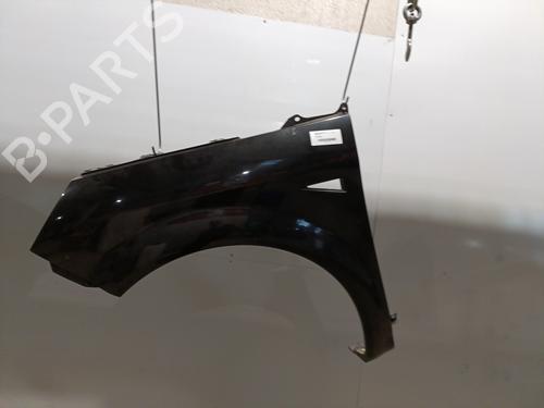 Left front fenders RENAULT SCÉNIC II (JM0/1_) 1.5 dCi (JM02, JM13) | BP29003859C41 