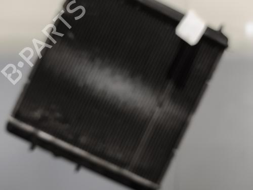 Used Water radiator Water radiator PEUGEOT 207 (WA_, WC_) 1.6 16V VTi (120 hp) 28166161 28166161