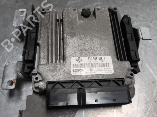 Motorstyringsenhed VW GOLF PLUS V (5M1, 521) 2.0 TDI 16V | BP29980095M57
