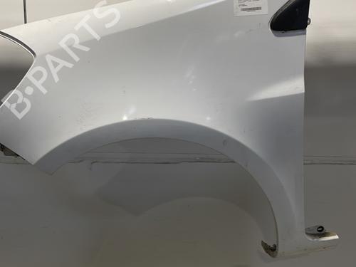 Used Left front fenders RENAULT CLIO III (BR0/1, CR0/1) 1.5 dCi (C/BR0G, C/BR1G) (68 hp) 24222545