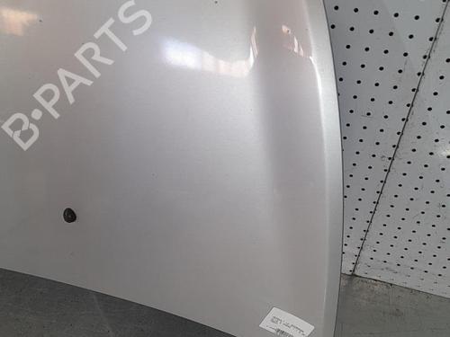 Hood RENAULT CLIO III (BR0/1, CR0/1) 1.5 dCi (BR17, CR17) | BP21698843C1 