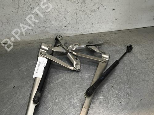 hingedoor-check-strap-chrysler-300c-lx-le-2004-32996956 main image