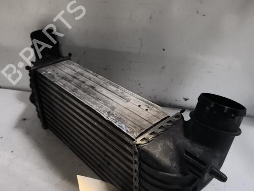 Used Intercooler Intercooler PEUGEOT EXPERT Van (VF3A_, VF3U_, VF3X_) 2.0 HDi 120 (120 hp) 24336019 24336019
