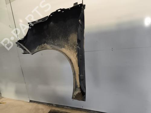 Right front fenders RENAULT SCÉNIC III (JZ0/1_) 1.5 dCi | BP29422505C42 