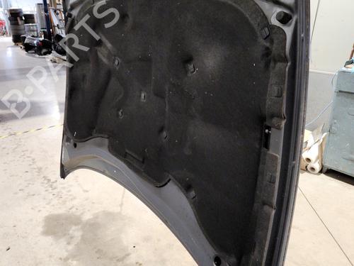 Used Hood Hood SEAT TOLEDO II (1M2) 1.9 TDI (90 hp) 33555984 33555984