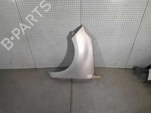 Left front fenders RENAULT SCÉNIC III (JZ0/1_) 1.9 dCi (JZ0J, JZ1J, JZ1K, JZ1S) | BP21700614C41 