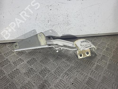 Hinge/Door check strap RENAULT KANGOO Express (FW0/1_) 1.5 dCi 75 (FW07, FW10, FW04) | BP29384458C146 